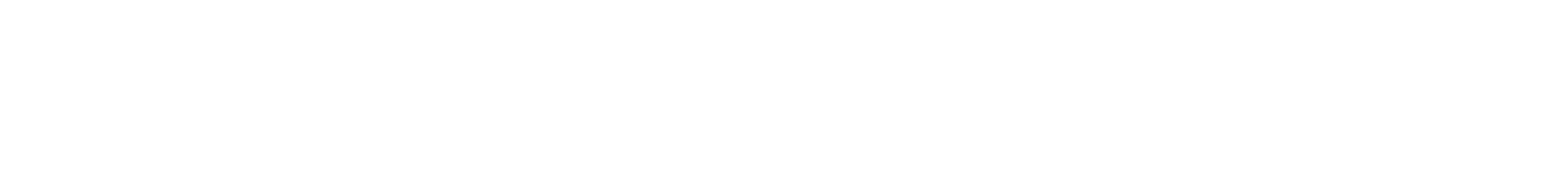 Starlink png white wordmark