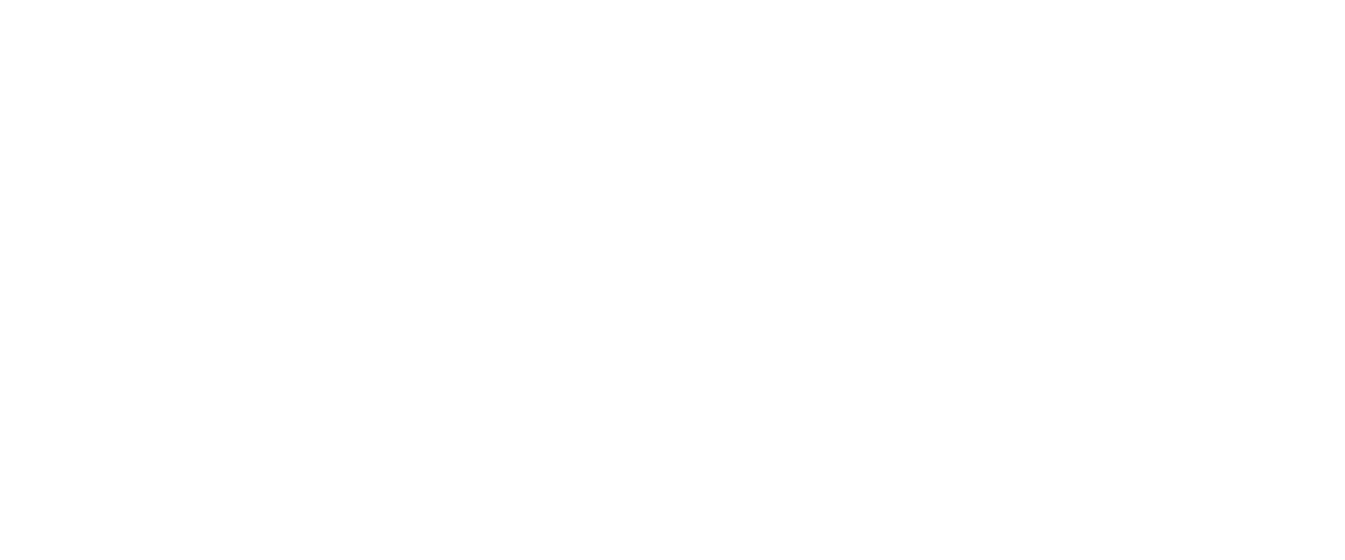 Stripe png white logo