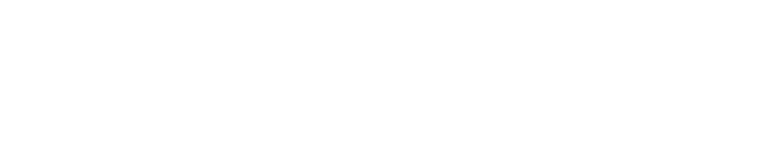 TIKI png white logo