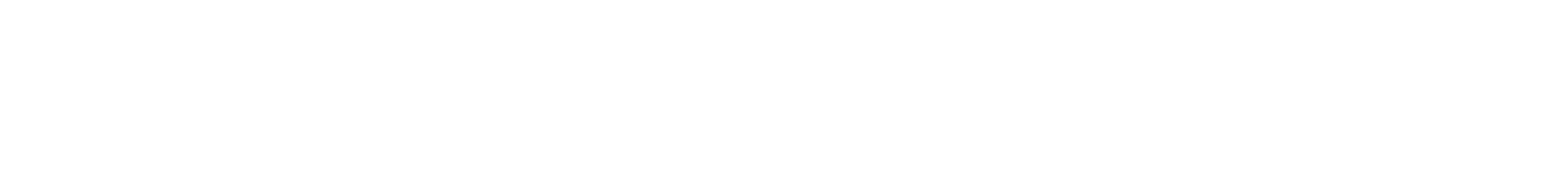 Western Union png white logo