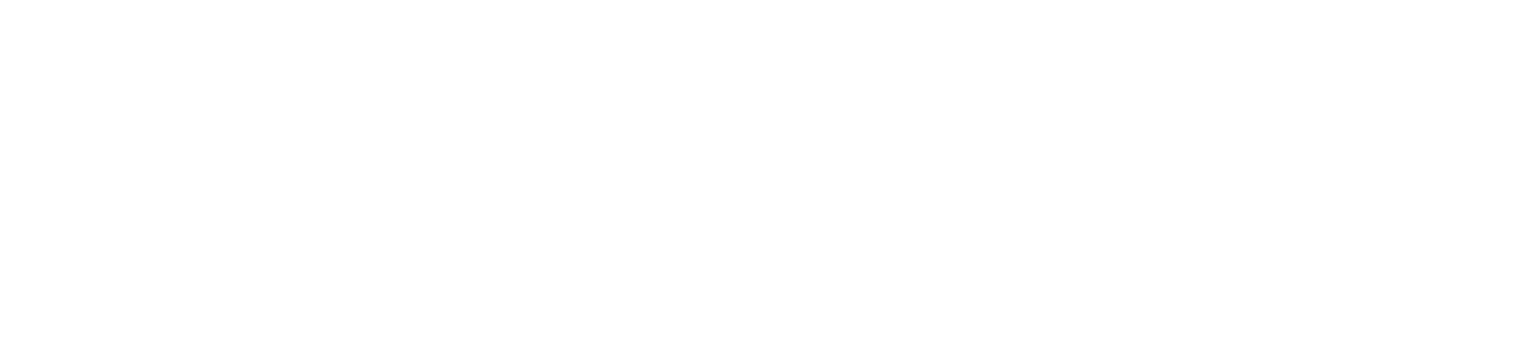 Western Union png white logo