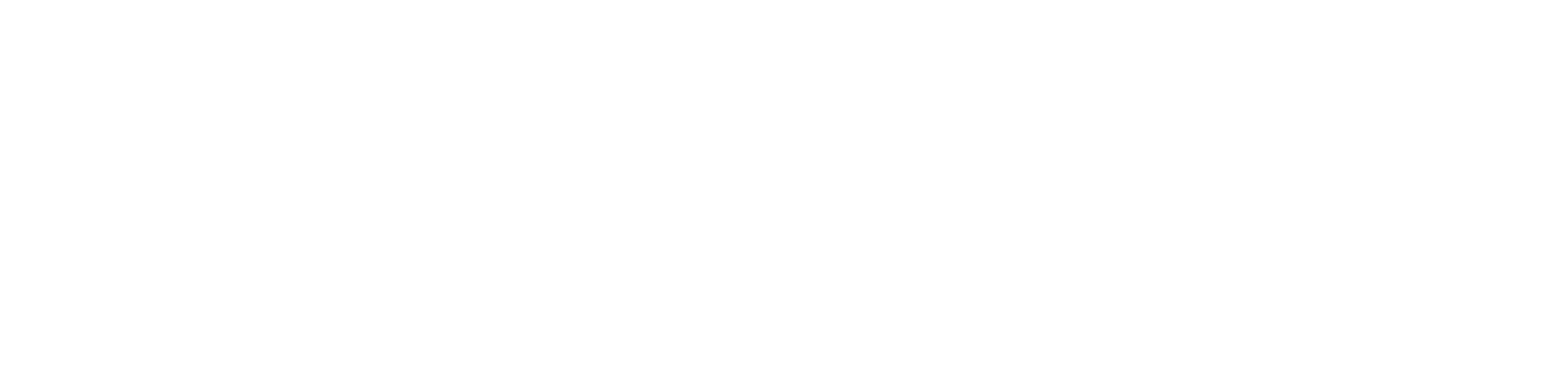 WhatsApp png white logo