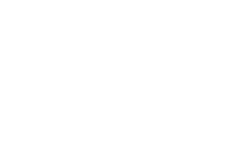 WhatsApp png white logo